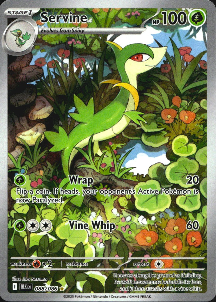 Servine 088/086 Illustration Rare Black Bolt Pokemon Near Mint