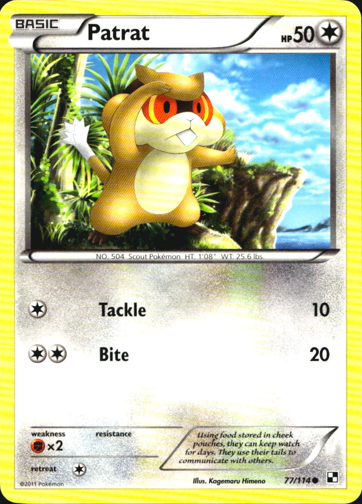 Patrat 77/114 Common Black & White Pokemon Near Mint