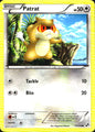 Patrat 77/114 Common Black & White Pokemon Near Mint