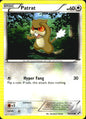 Patrat 78/114 Common Black & White Pokemon Near Mint
