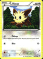 Lillipup 80/114 Common Black & White Pokemon Near Mint