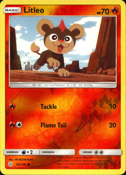 Litleo 36/236 Common Cosmic Eclipse Pokemon Near Mint