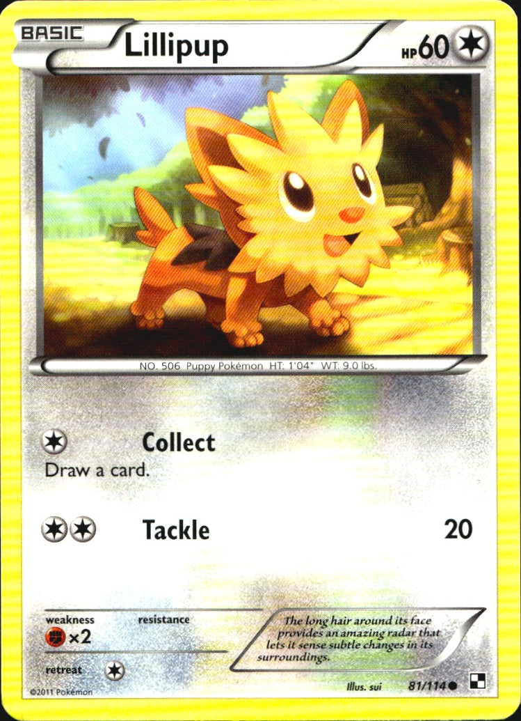 Lillipup 81/114 Common Black & White Pokemon Near Mint