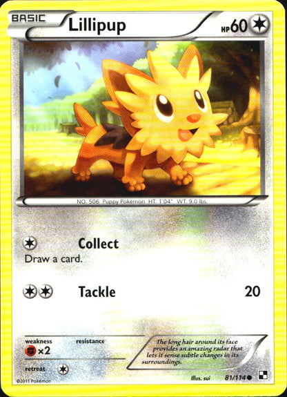 Lillipup 81/114 Common Black & White Pokemon Near Mint