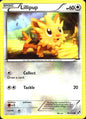 Lillipup 81/114 Common Black & White Pokemon Near Mint