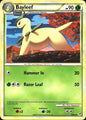 Bayleef 40/95 Uncommon Call of Legends Pokemon Near Mint