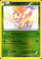 Deerling 13/114 Common Black & White Pokemon Reverse Holo Near Mint