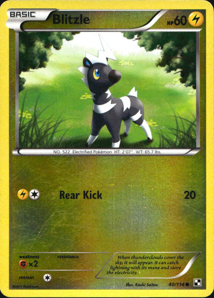 Blitzle 40/114 Common Black & White Pokemon Reverse Holo Near Mint