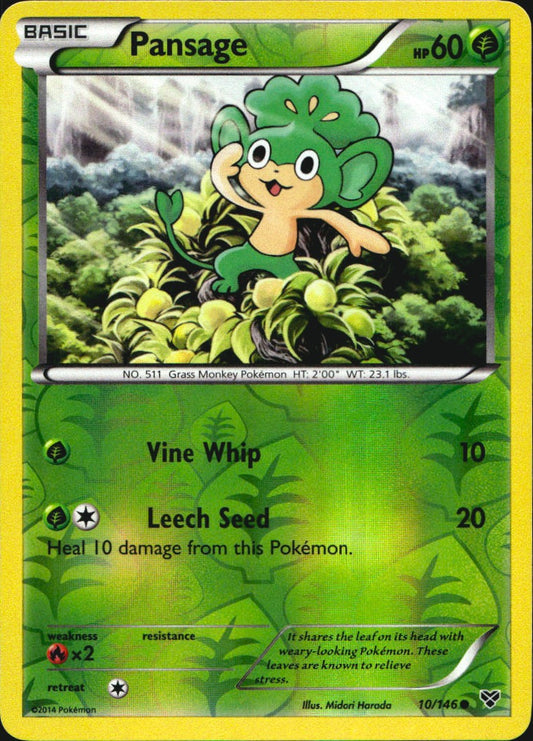 Pansage 10/146 Common XY Pokemon Reverse Holo Near Mint