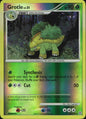Grotle 49/130 Uncommon Diamond & Pearl Pokemon Reverse Holo Near Mint