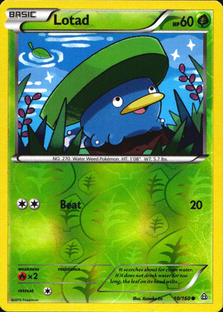 Lotad 10/160 Common Primal Clash Pokemon Reverse Holo Near Mint