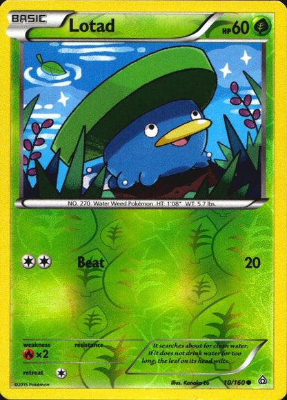 Lotad 10/160 Common Primal Clash Pokemon Reverse Holo Near Mint