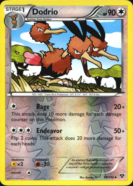 Dodrio 99/146 Uncommon XY Pokemon Reverse Holo Near Mint