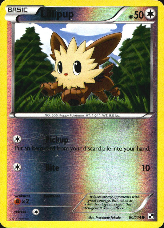 Lillipup 80/114 Common Black & White Pokemon Reverse Holo Near Mint