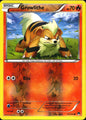 Growlithe 10/122 Common BREAKpoint Pokemon Reverse Holo Near Mint